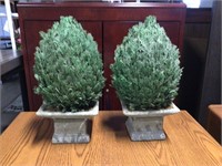 2 Small tree  patio decor or mantle greenery