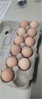 11 Fertile Lavender Orpington Eggs