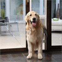 Large Satin Freedom Pet Door