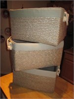 3 Lined Wicker Baskets w/ Rope Handles