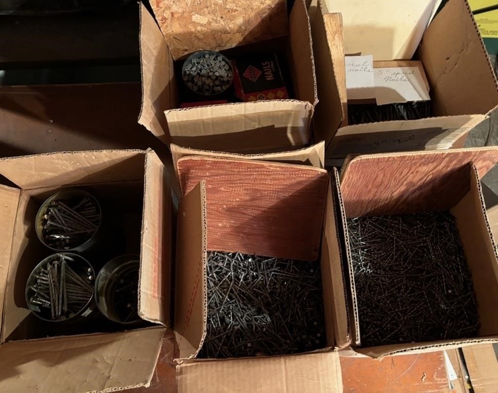 Five Boxes of Nails, Assorted Sizes