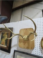 OLD 6 POINT DEER ANTLER MOUNT