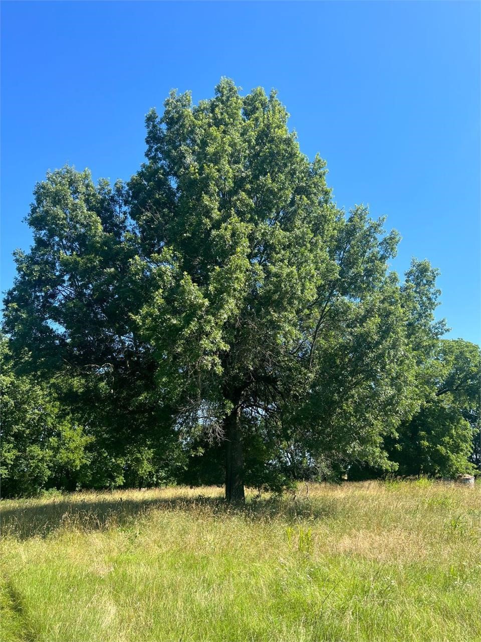 Online Only Auction of 160+/- Acres in Labette County, Ks