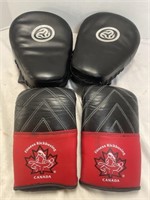 Kickboxing gloves and focus pads. Fits medium