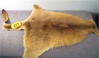Tanned Animal Skin Pelt Kangaroo