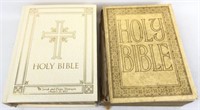 2010 Holy Bible and More