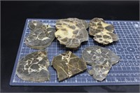 Septarian Slabs, 2lbs 13oz