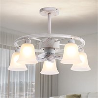 OSGNER Ceiling Fans with Lights with Remote, 25 in