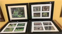 4 framed photographs - one is of turkeys, deer,