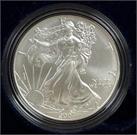 2007-W American Silver Eagle - UNC