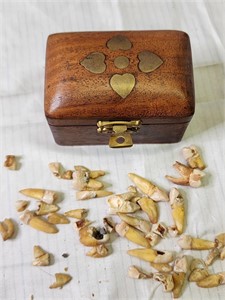 Small Wooden Box From The Tooth fairy