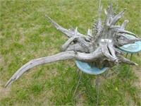 DRIFTWOOD TREE ROOT