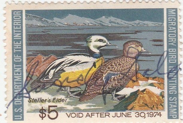 1974 Dept of the Interior Duck Hunting Stamp,