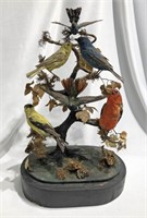 Victorian Birds Collection