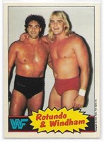 Rotundo & Windham 1985 O-Pee-Chee WWF Wrestling 18
