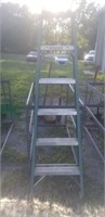 Werner step ladder