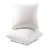 AM AEROMAX 18x18 Pillow Insert (Pack of 2)