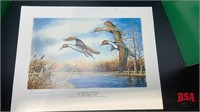 2 Prints: Back Water Pintails & Swans