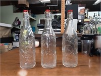 3- 13" Glass Bottles With Fruit Pattern