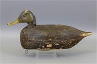 Black Duck Decoy by Unknown Canadian Carver, 2