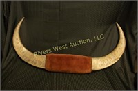 Authentic Water Buffalo Horn