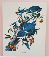 Blue Jay James Audubon Bird Print 8 x11"