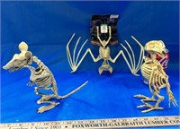 Halloween Bat, Rat and Crow Skeletons