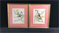 Pair of Bird Paintings on Silk