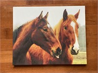 Horses On Canvas