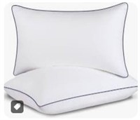 2 Pack Standard Qn Sz Pillows