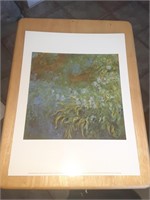 16” x 12” Monet Iris Pond