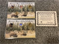A lot of two American bison nickel collection