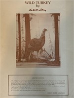Gene Gray unframed print wild  turkey,