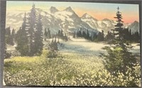 Antique The Tatoosh Range Picture Postcard PPC