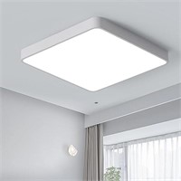 Ganeed 19.6 inch LED Ceiling Lights,39W Square