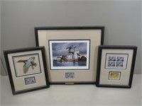 Framed 2005 Ducks Unlimited Canvasback duck stamp