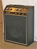 Tested & Working Guitar Amp