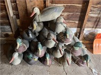 Collection of Duck Decoys