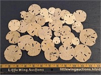 Sand Dollars Lot