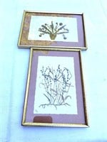 2 Small Framed Dried Flowers