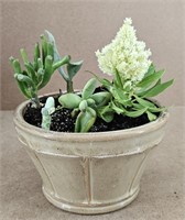 LIVE Succulents & Flower Cast Stone Planter