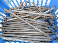 Lot of 8" - 10" Large Nails
