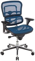 Raynor Eurotech Ergo human Mesh Mid Back Task