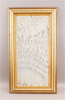 South American Natural Fossil Framed Panel