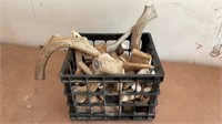 Antler Shed Pieces in Tote