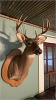 Deer mount