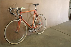 Raleigh 28" Bike