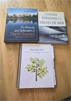 Lot of Travel/Recipe Books