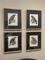 4 Framed Bird Art