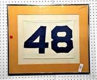 Framed 48